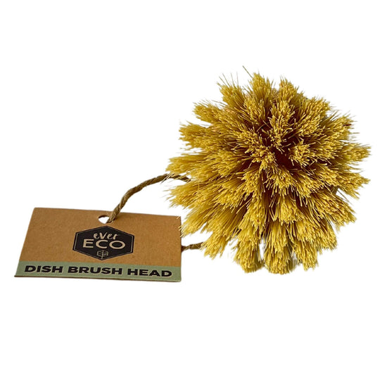 Ever Eco Dish Brush Replacement Head with sisal bristles